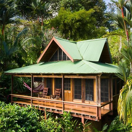 Aguila De Osa Rainforest Lodge Drakes Bay Exterior foto