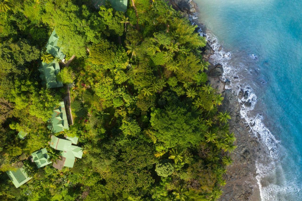 Aguila De Osa Rainforest Lodge Drakes Bay Exterior foto