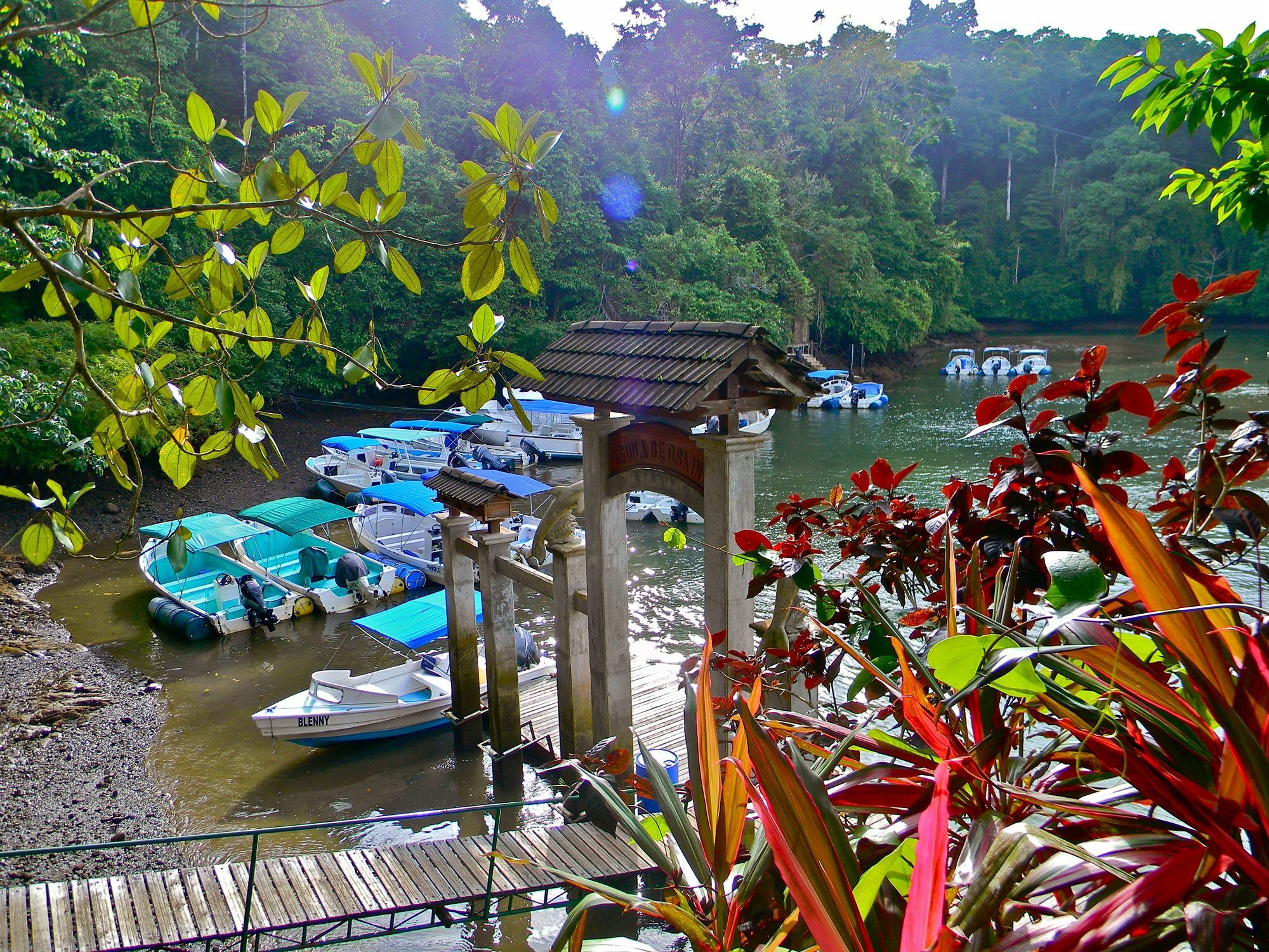 Aguila De Osa Rainforest Lodge Drakes Bay Exterior foto